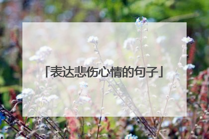 表达悲伤心情的句子