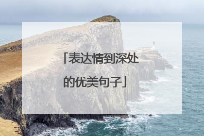 表达情到深处的优美句子