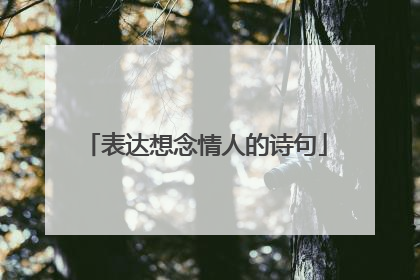 表达想念情人的诗句