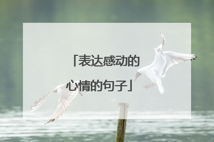 表达感动的心情的句子