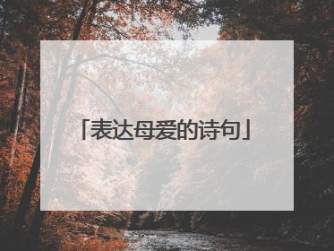 表达母爱的诗句