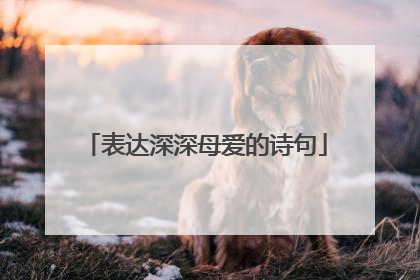 表达深深母爱的诗句