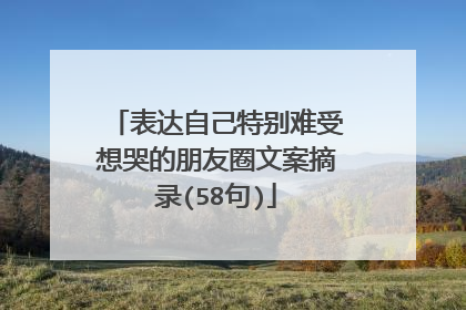 表达自己特别难受想哭的朋友圈文案摘录(58句)