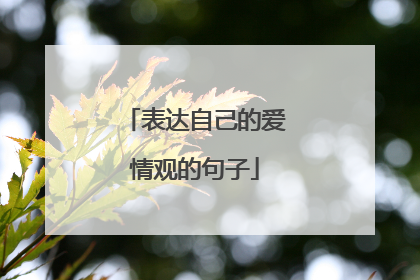 表达自己的爱情观的句子
