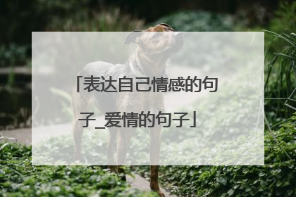 表达自己情感的句子_爱情的句子