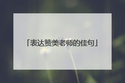 表达赞美老师的佳句