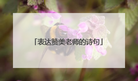 表达赞美老师的诗句