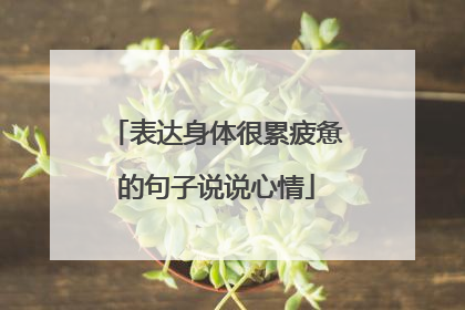 表达身体很累疲惫的句子说说心情