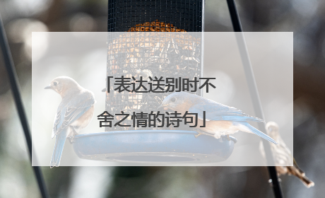 表达送别时不舍之情的诗句
