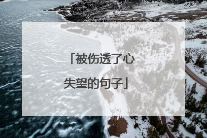 被伤透了心失望的句子