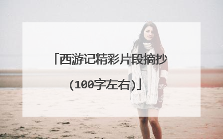 西游记精彩片段摘抄(100字左右)