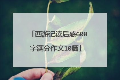 西游记读后感600字满分作文10篇