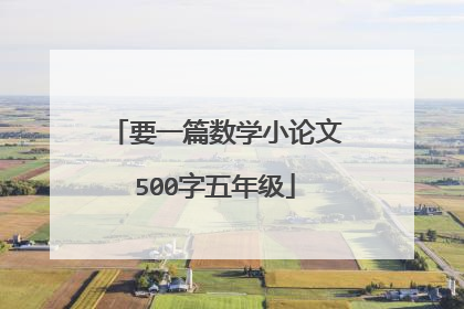 要一篇数学小论文500字五年级