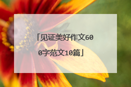 见证美好作文600字范文10篇