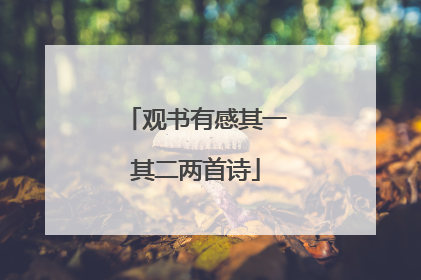 观书有感其一其二两首诗