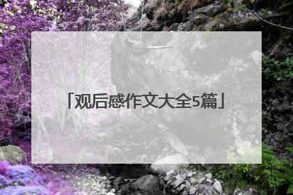 观后感作文大全5篇