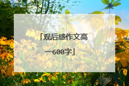 观后感作文高一600字