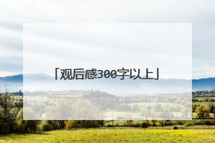 观后感300字以上