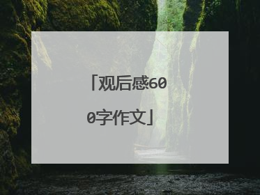 观后感600字作文