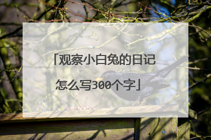 观察小白兔的日记怎么写300个字