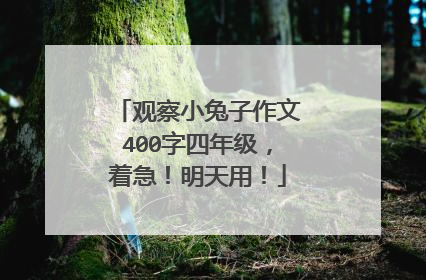 观察小兔子作文400字四年级，着急！明天用！