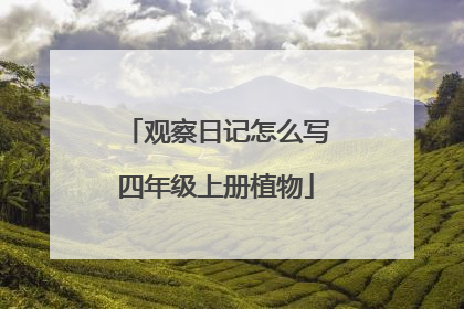 观察日记怎么写四年级上册植物