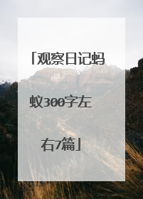 观察日记蚂蚁300字左右7篇