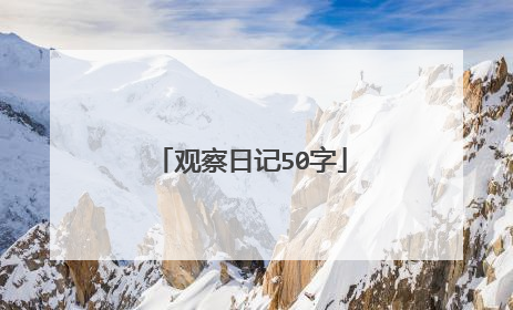 观察日记50字