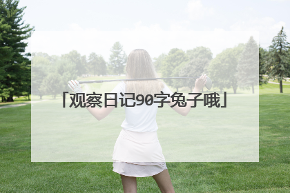 观察日记90字兔子哦