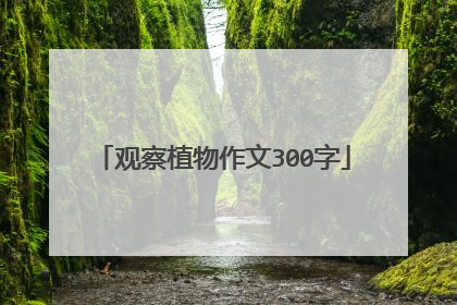 观察植物作文300字