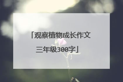 观察植物成长作文三年级300字