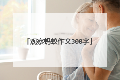 观察蚂蚁作文300字