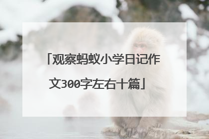 观察蚂蚁小学日记作文300字左右十篇