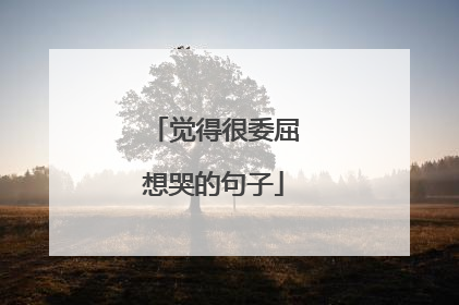 觉得很委屈想哭的句子