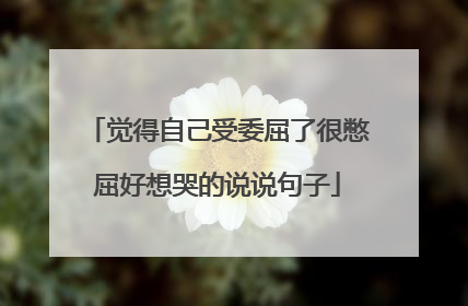 觉得自己受委屈了很憋屈好想哭的说说句子