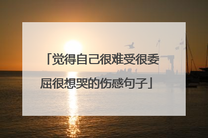 觉得自己很难受很委屈很想哭的伤感句子