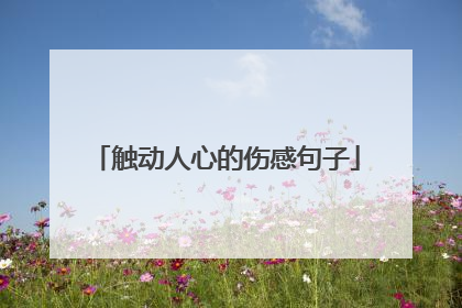 触动人心的伤感句子