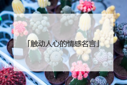 触动人心的情感名言