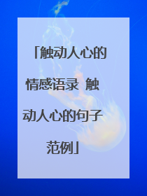 触动人心的情感语录 触动人心的句子范例