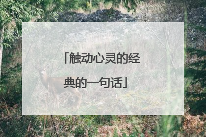 触动心灵的经典的一句话