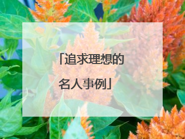 追求理想的名人事例