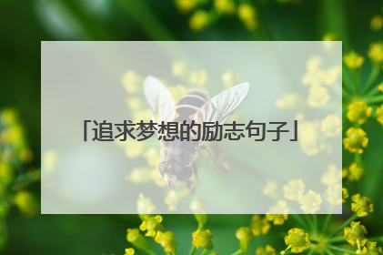 追求梦想的励志句子