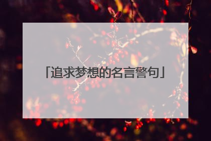 追求梦想的名言警句