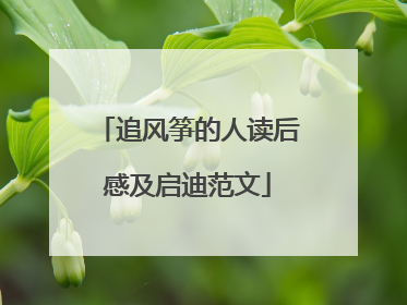 追风筝的人读后感及启迪范文