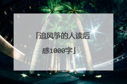 追风筝的人读后感1000字