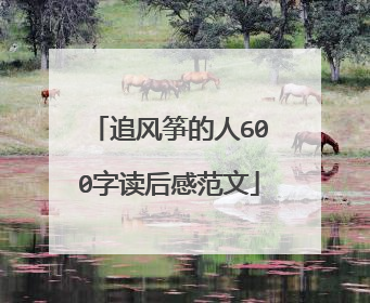 追风筝的人600字读后感范文