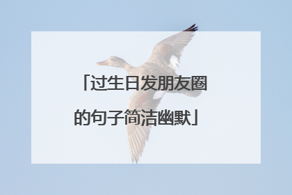 过生日发朋友圈的句子简洁幽默