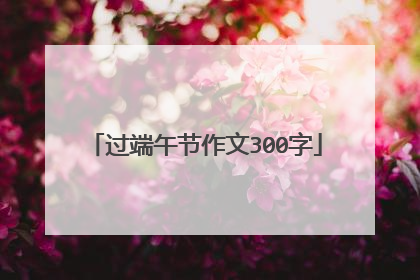 过端午节作文300字