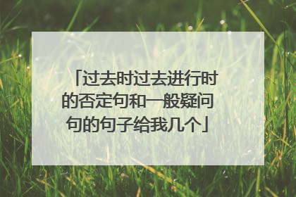 过去时过去进行时的否定句和一般疑问句的句子给我几个