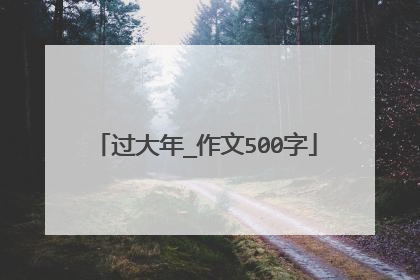 过大年_作文500字